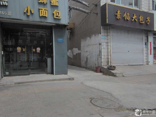 素馅大包子
