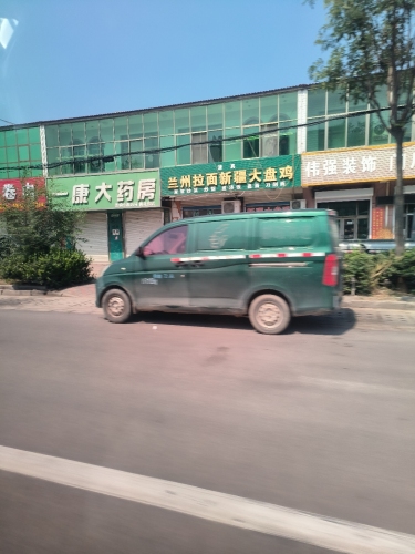 兰州拉面新疆大盘鸡