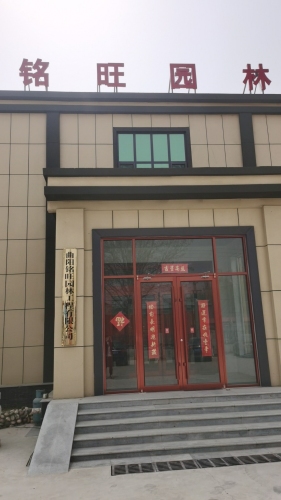 曲阳县铭旺园林工程有限公司