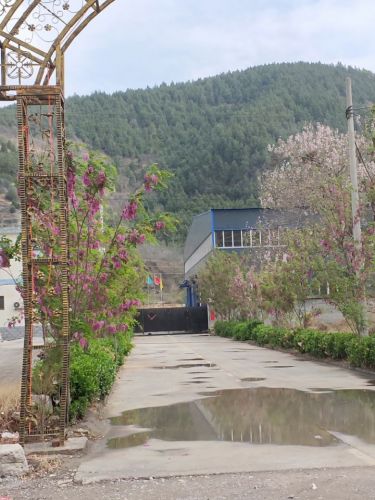 石家庄龙诚机械设备有限公司