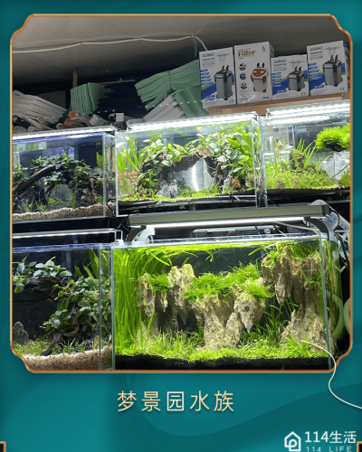梦景园水族