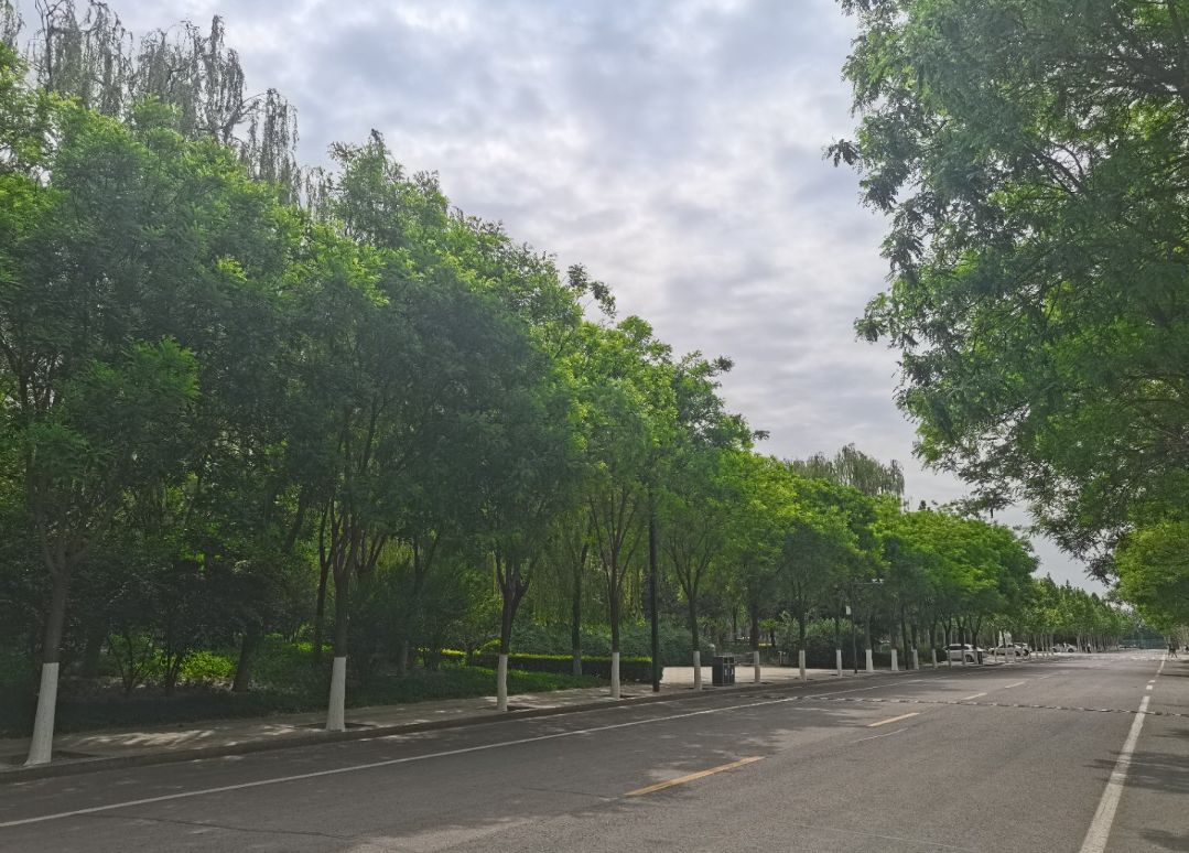河北师范大学职业技术学院