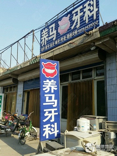 养马牙科