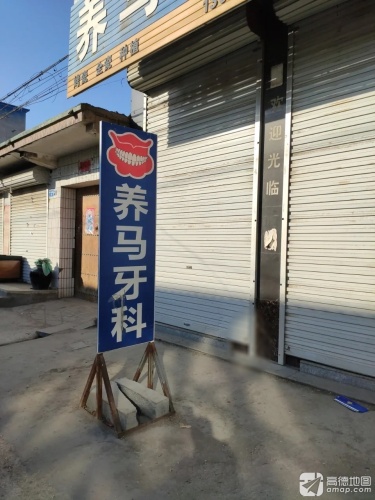 养马牙科