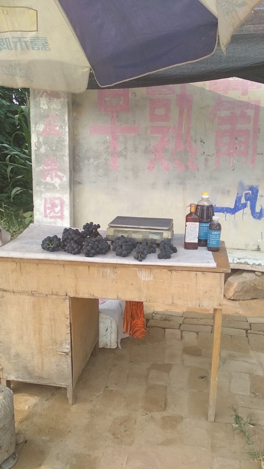 西任村葡萄采摘园农家乐