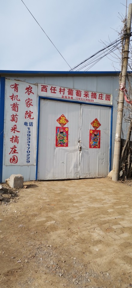 西任村葡萄采摘园农家乐