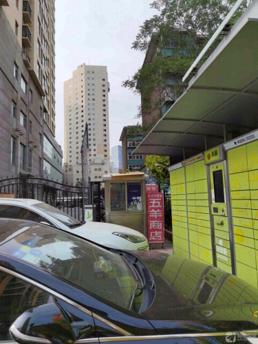 丰巢快递柜(金奥府邸B座店)