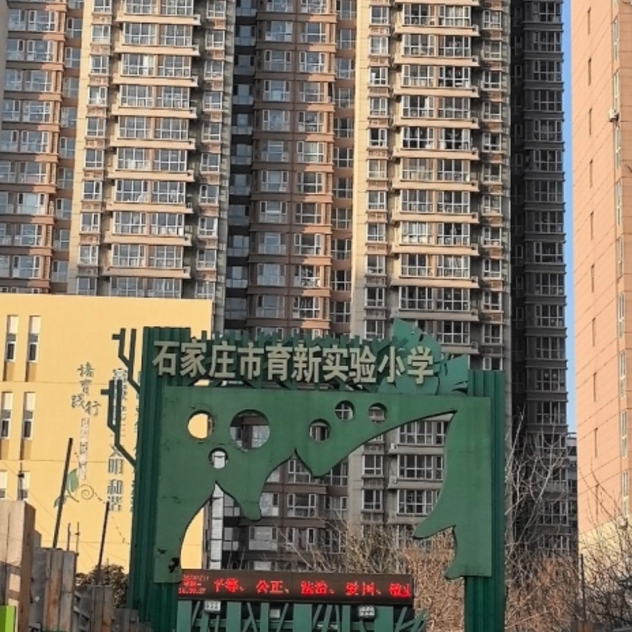 石家庄市育新实验小学