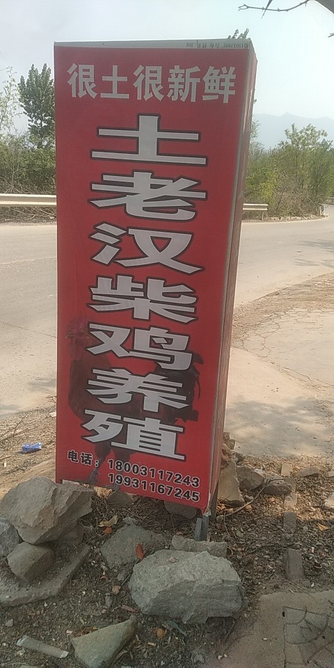 土老汉柴鸡养殖