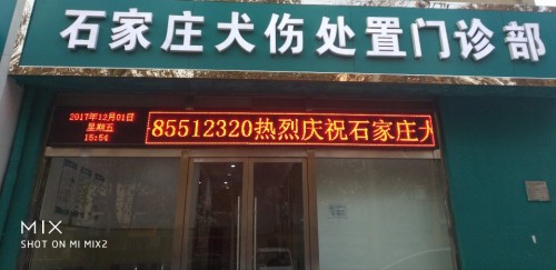 石家庄犬伤处置门诊部