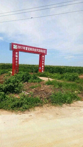 望龙岗生态园