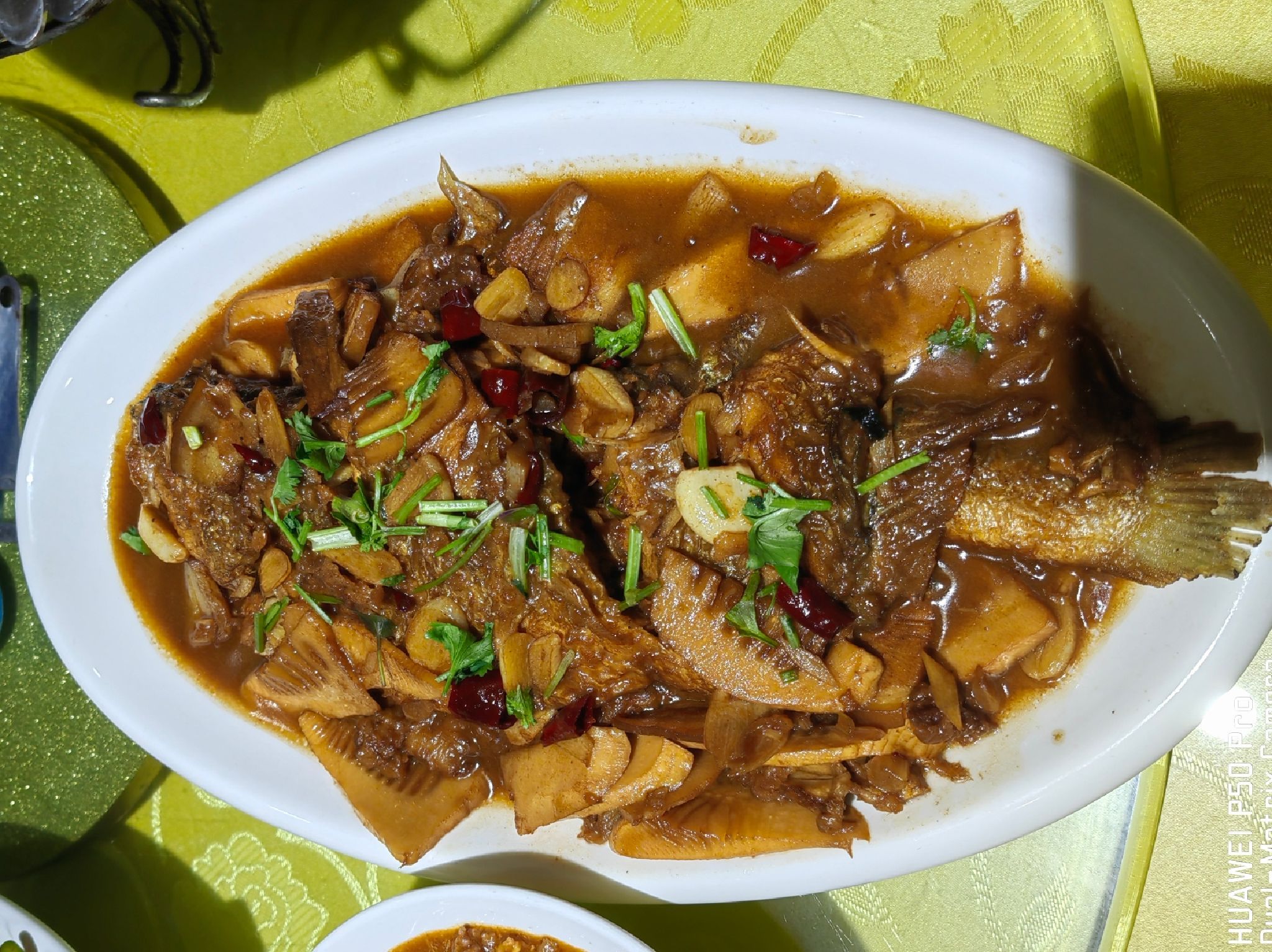 老蒋东北菜馆(向阳街店)