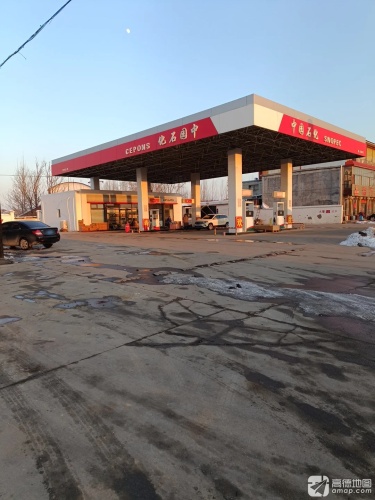 中园石化加油站(石清路)