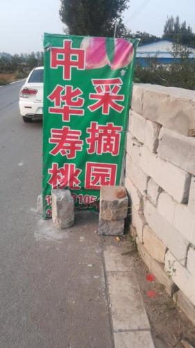中华寿桃农业采摘园