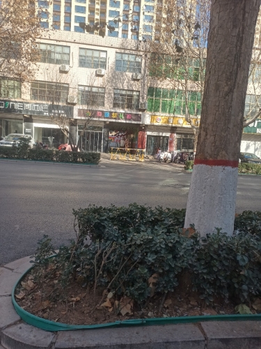 蓓蕾幼儿园