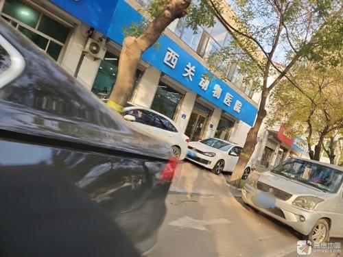 西关动物医院