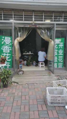 漫香花卉