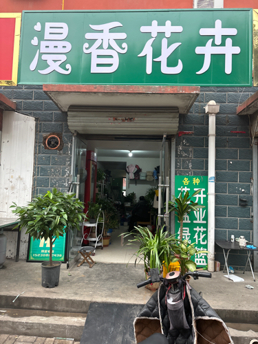 漫香花卉