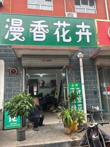 漫香花卉