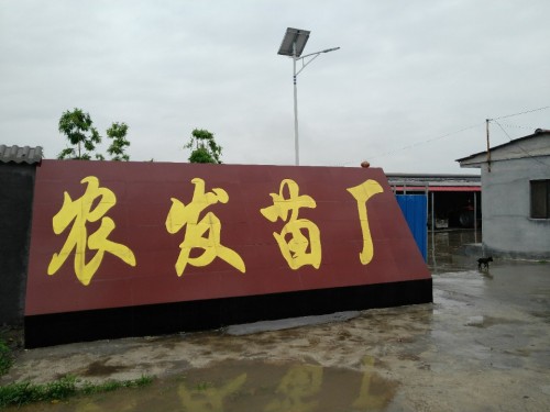 农发苗厂