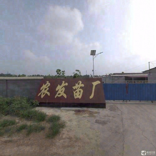 农发苗厂