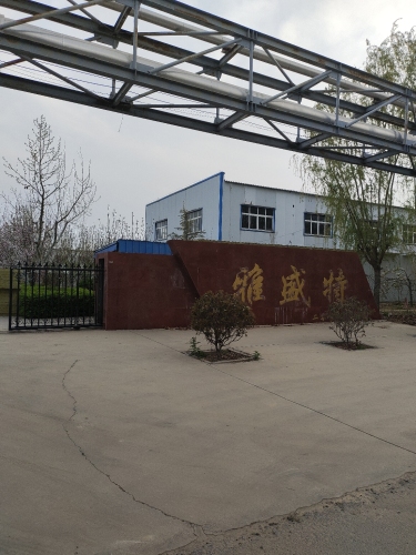 河北雅盛特医药科技有限公司