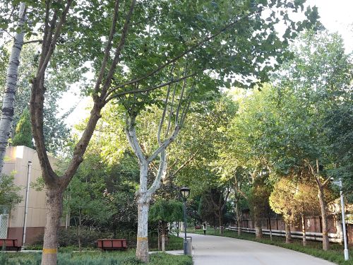 河北政法职业学院学府校区