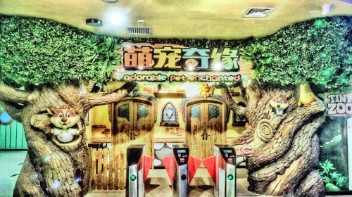 萌宠奇缘(荣鼎店)