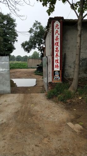 元氏县顺昌养殖厂