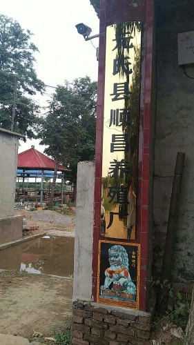 元氏县顺昌养殖厂