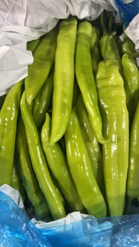 凯丰综合门市