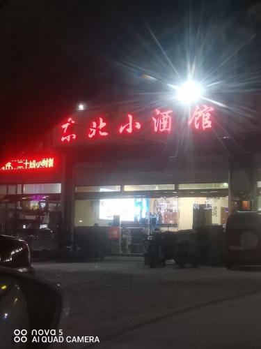 东北小酒馆(南环路店)