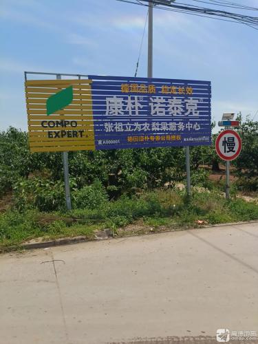 张祖立为农梨果服务中心