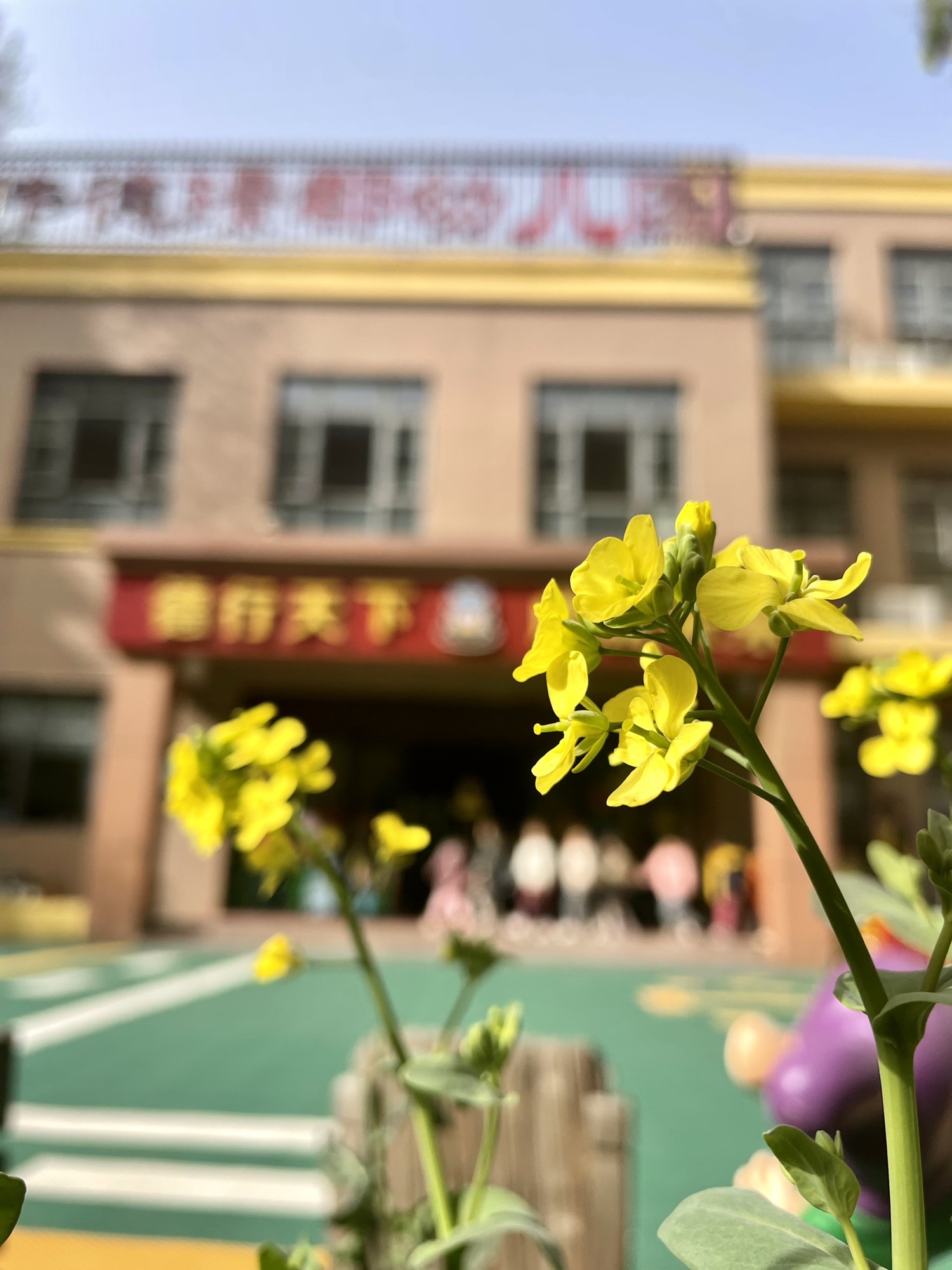 英华伟德璟郡幼儿园
