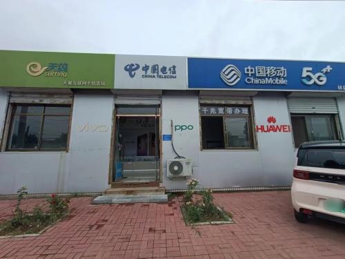 中国移动(林辰加盟店)