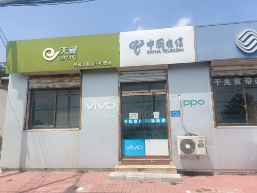 中国移动(林辰加盟店)