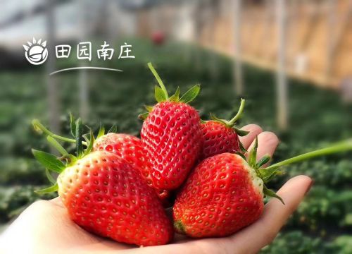 平山县东日家庭农场