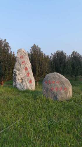 禾沁苗木种植基地