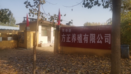 灵寿县方正养殖有限公司