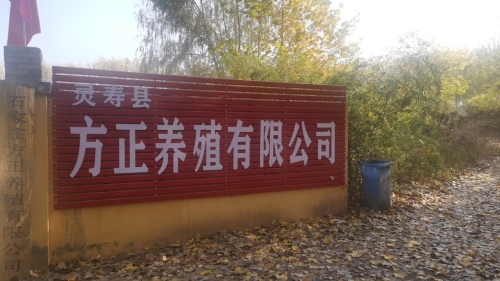 灵寿县方正养殖有限公司