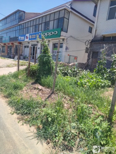 寿康大药房(段高路店)