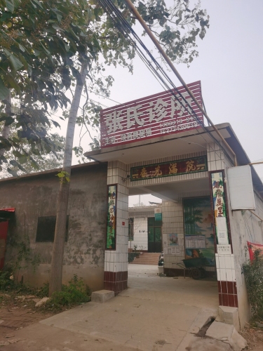 张氏诊所