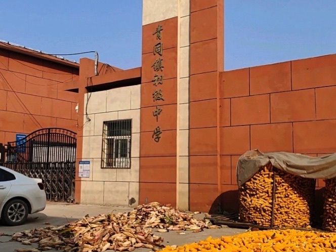 青同镇初级中学