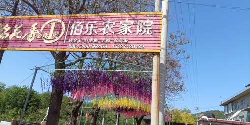 佰乐农家院