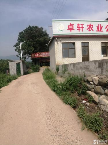 佰乐农家院
