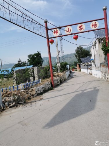 灵寿县坤山农场