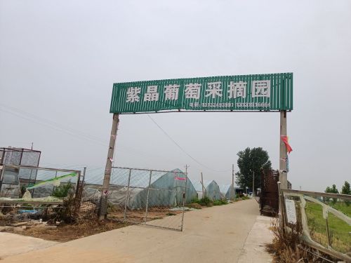 汉柏紫晶富硒葡萄观光采摘园