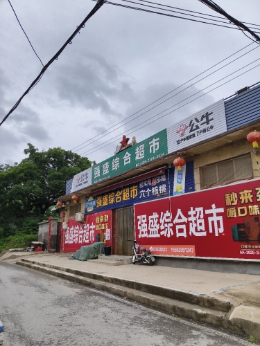 岭底村强盛综合超市
