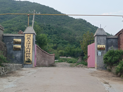 河北天泽中药材种植基地