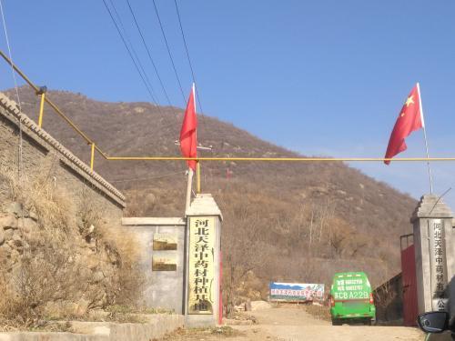 河北天泽中药材种植基地